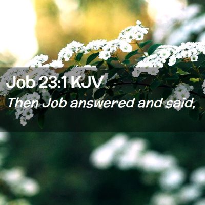 Picture 02 - Job 23:1 KJV - Then Job answered and - Bible Verse Picture