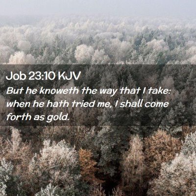 Picture 02 - Job 23:10 KJV - But he knoweth the way that I take: when he hath - Bible Verse Picture