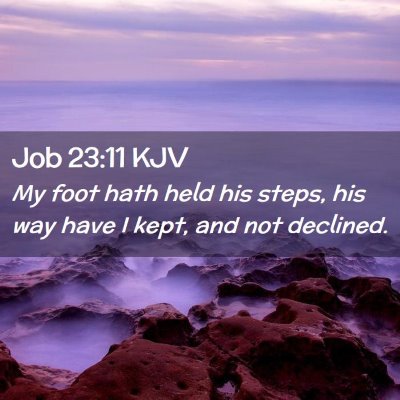 Picture 02 - Job 23:11 KJV - My foot hath held his steps, his way have I kept, - Bible Verse Picture