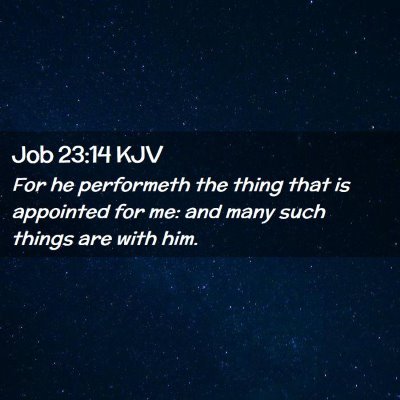 Picture 02 - Job 23:14 KJV - For he performeth the thing that is appointed for - Bible Verse Picture