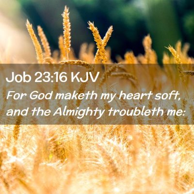 Picture 02 - Job 23:16 KJV - For God maketh my heart soft, and the Almighty - Bible Verse Picture