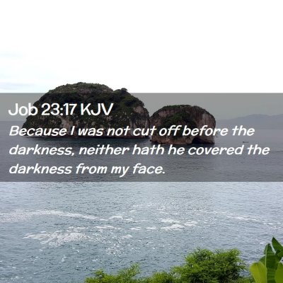Picture 02 - Job 23:17 KJV - Because I was not cut off before the darkness, - Bible Verse Picture