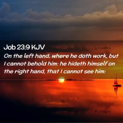 Picture 02 - Job 23:9 KJV - On the left hand, where he doth work, but I - Bible Verse Picture