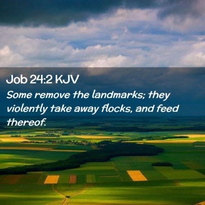 Picture 02 - Job 24:2 KJV - Some remove the landmarks; they violently take - Bible Verse Picture