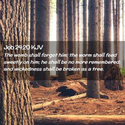 Picture 02 - Job 24:20 KJV - The womb shall forget him; the worm shall feed - Bible Verse Picture