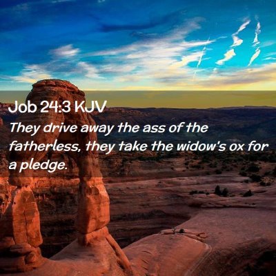 Picture 02 - Job 24:3 KJV - They drive away the ass of the fatherless, they - Bible Verse Picture