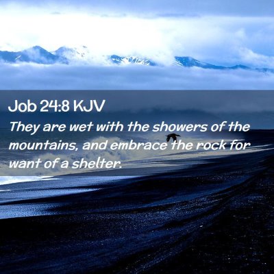 Picture 02 - Job 24:8 KJV - They are wet with the showers of the mountains, - Bible Verse Picture