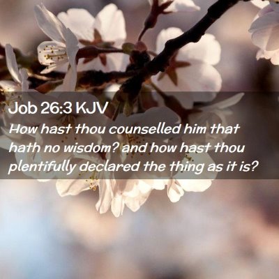 Picture 02 - Job 26:3 KJV - How hast thou counselled him that hath no wisdom? - Bible Verse Picture