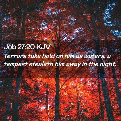 Picture 02 - Job 27:20 KJV - Terrors take hold on him as waters, a tempest - Bible Verse Picture