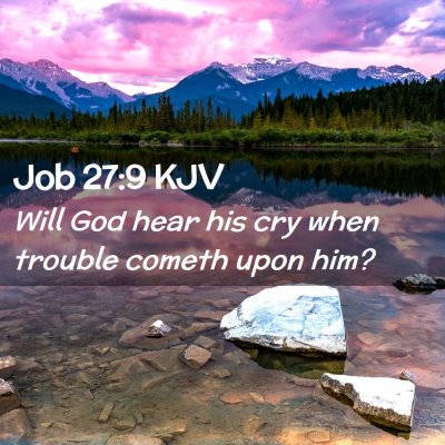 Picture 02 - Job 27:9 KJV - Will God hear his cry when trouble cometh upon - Bible Verse Picture