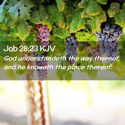 Picture 02 - Job 28:23 KJV - God understandeth the way thereof, and he knoweth - Bible Verse Picture
