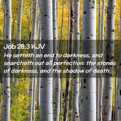 Picture 02 - Job 28:3 KJV - He setteth an end to darkness, and searcheth out - Bible Verse Picture
