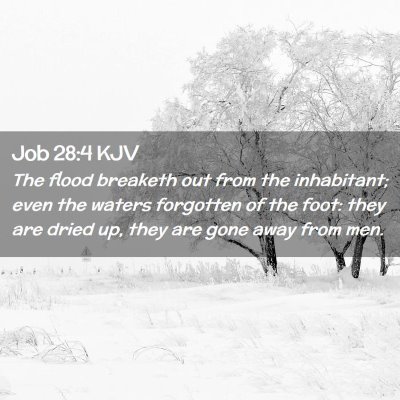 Picture 02 - Job 28:4 KJV - The flood breaketh out from the inhabitant; even - Bible Verse Picture
