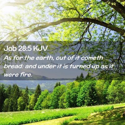 Picture 02 - Job 28:5 KJV - As for the earth, out of it cometh bread: and - Bible Verse Picture