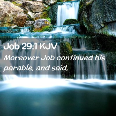 Picture 02 - Job 29:1 KJV - Moreover Job continued his parable, and - Bible Verse Picture