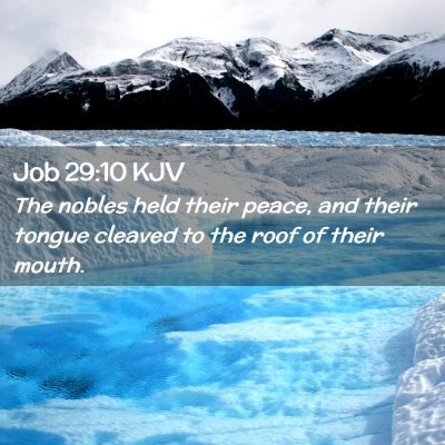 Picture 02 - Job 29:10 KJV - The nobles held their peace, and their tongue - Bible Verse Picture