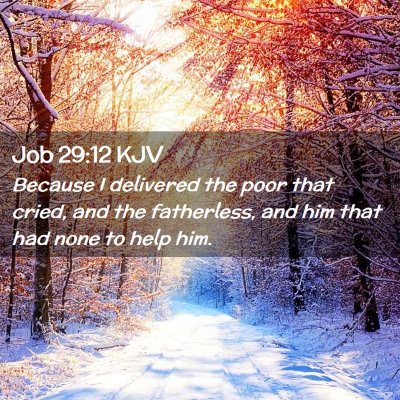 Picture 02 - Job 29:12 KJV - Because I delivered the poor that cried, and the - Bible Verse Picture