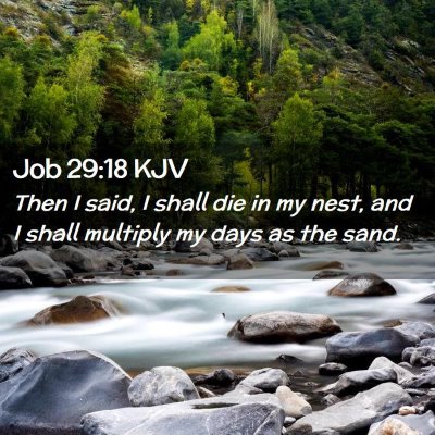 Picture 02 - Job 29:18 KJV - Then I said, I shall die in my nest, and I shall - Bible Verse Picture