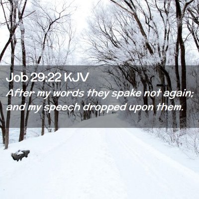 Picture 02 - Job 29:22 KJV - After my words they spake not again; and my - Bible Verse Picture