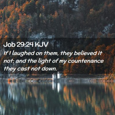 Picture 02 - Job 29:24 KJV - If I laughed on them, they believed it not; and - Bible Verse Picture