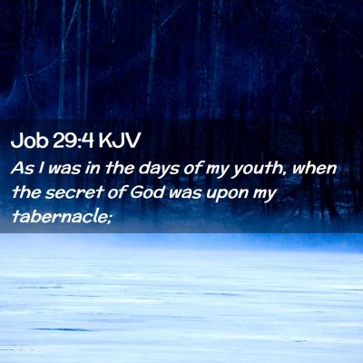 Picture 02 - Job 29:4 KJV - As I was in the days of my youth, when the secret - Bible Verse Picture