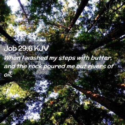 Picture 02 - Job 29:6 KJV - When I washed my steps with butter, and the rock - Bible Verse Picture