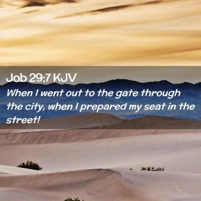 Picture 02 - Job 29:7 KJV - When I went out to the gate through the city, - Bible Verse Picture
