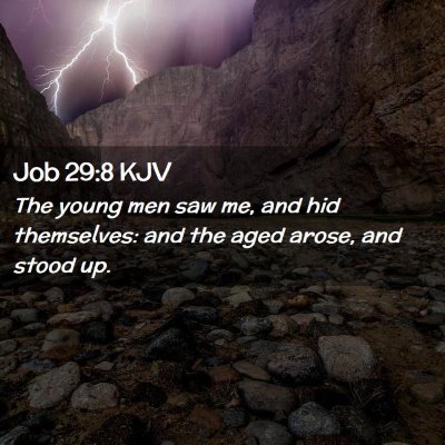 Picture 02 - Job 29:8 KJV - The young men saw me, and hid themselves: and the - Bible Verse Picture