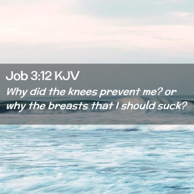Picture 02 - Job 3:12 KJV - Why did the knees prevent me? or why the breasts - Bible Verse Picture