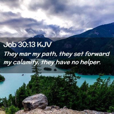 Picture 02 - Job 30:13 KJV - They mar my path, they set forward my calamity, - Bible Verse Picture