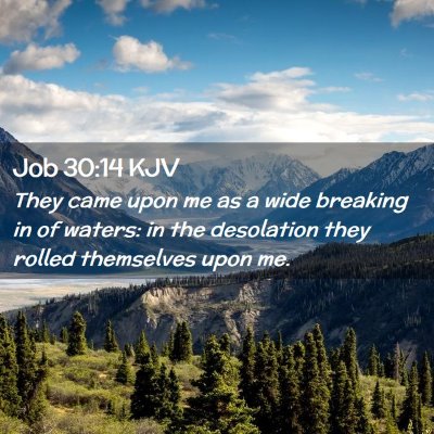 Picture 02 - Job 30:14 KJV - They came upon me as a wide breaking in of - Bible Verse Picture