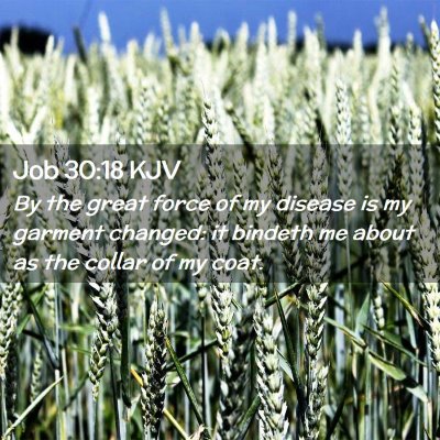 Picture 02 - Job 30:18 KJV - By the great force of my disease is my garment - Bible Verse Picture