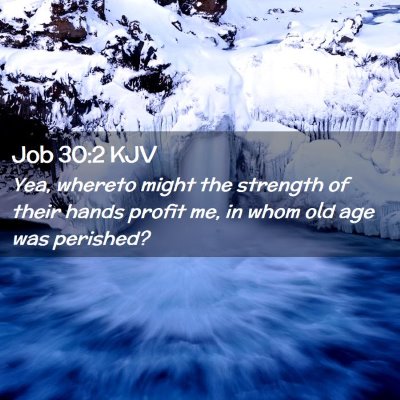 Picture 02 - Job 30:2 KJV - Yea, whereto might the strength of their hands - Bible Verse Picture