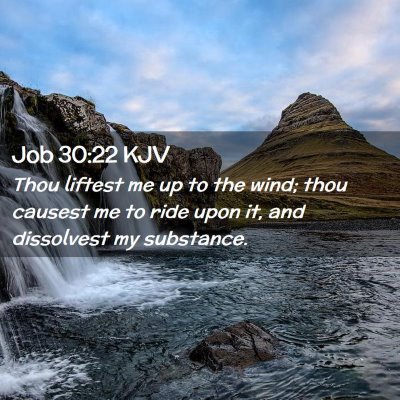Picture 02 - Job 30:22 KJV - Thou liftest me up to the wind; thou causest me - Bible Verse Picture