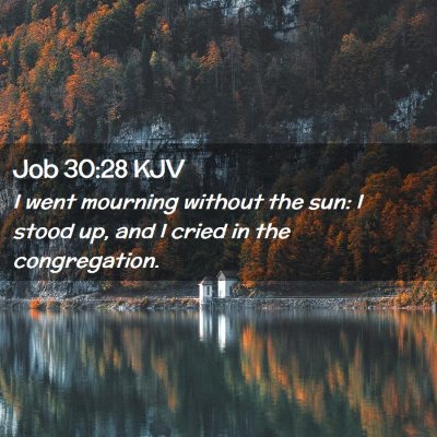 Picture 02 - Job 30:28 KJV - I went mourning without the sun: I stood up, and - Bible Verse Picture