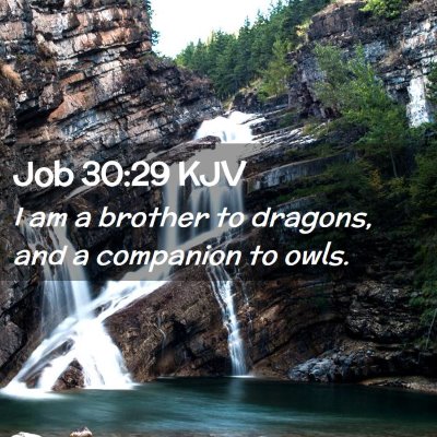 Picture 02 - Job 30:29 KJV - I am a brother to dragons, and a companion to - Bible Verse Picture
