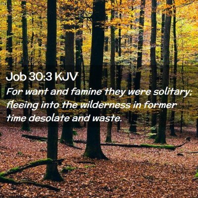 Picture 02 - Job 30:3 KJV - For want and famine they were solitary; fleeing - Bible Verse Picture