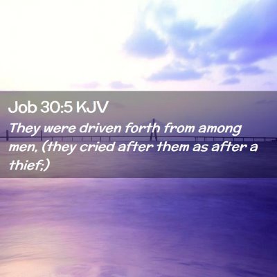 Picture 02 - Job 30:5 KJV - They were driven forth from among men, (they - Bible Verse Picture