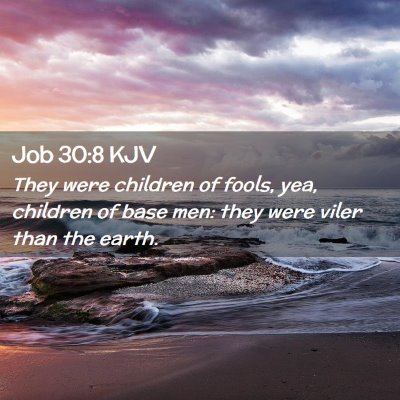 Picture 02 - Job 30:8 KJV - They were children of fools, yea, children of - Bible Verse Picture