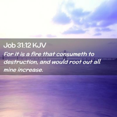 Picture 02 - Job 31:12 KJV - For it is a fire that consumeth to destruction, - Bible Verse Picture