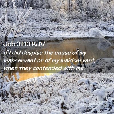 Picture 02 - Job 31:13 KJV - If I did despise the cause of my manservant or of - Bible Verse Picture