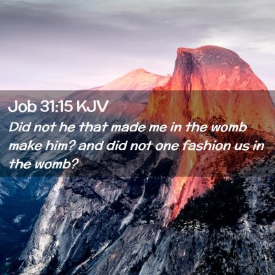 Picture 02 - Job 31:15 KJV - Did not he that made me in the womb make him? and - Bible Verse Picture