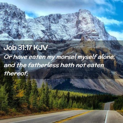 Picture 02 - Job 31:17 KJV - Or have eaten my morsel myself alone, and the - Bible Verse Picture