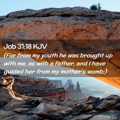 Picture 02 - Job 31:18 KJV - (For from my youth he was brought up with me, as - Bible Verse Picture