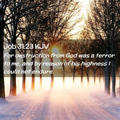 Picture 02 - Job 31:23 KJV - For destruction from God was a terror to me, and - Bible Verse Picture