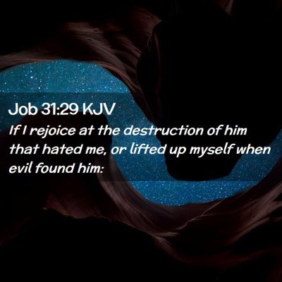 Picture 02 - Job 31:29 KJV - If I rejoice at the destruction of him that hated - Bible Verse Picture