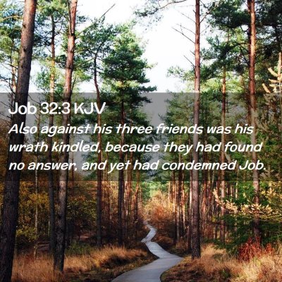 Picture 02 - Job 32:3 KJV - Also against his three friends was his wrath - Bible Verse Picture