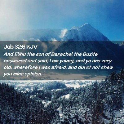 Picture 02 - Job 32:6 KJV - And Elihu the son of Barachel the Buzite answered - Bible Verse Picture