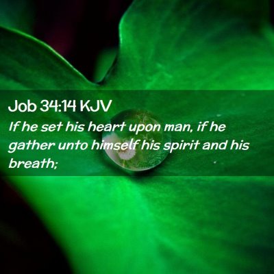 Picture 02 - Job 34:14 KJV - If he set his heart upon man, if he gather unto - Bible Verse Picture