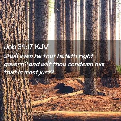 Picture 02 - Job 34:17 KJV - Shall even he that hateth right govern? and wilt - Bible Verse Picture